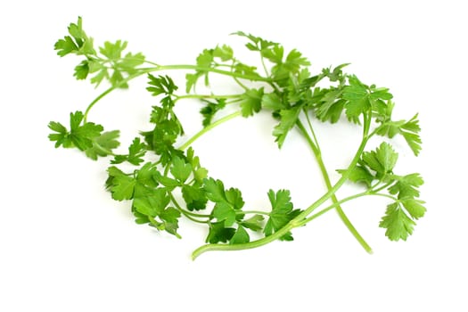 Parsley it is isolated on white