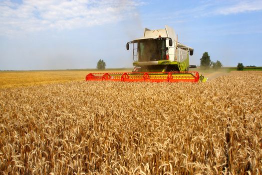 Machine harvesting the corn field