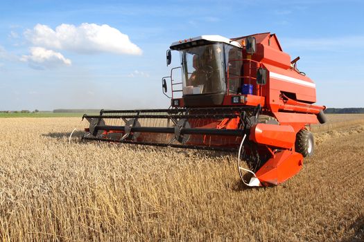 Machine harvesting the corn field