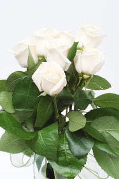 Bouquet of cream roses isolated on white