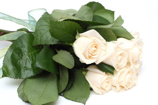 Bouquet of cream roses isolated on white