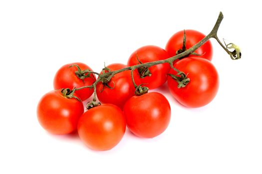 Group of tomato on a stalk