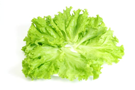 Green leaves lettuce (Lactuca sativa L.) on a plate