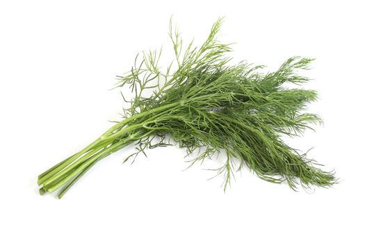 sheaf of green dill, isolated over white background