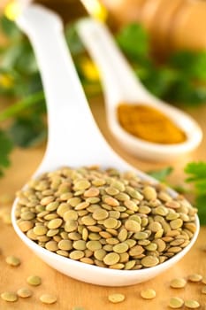 Raw brown lentil seeds with curry powder and cilantro in the back (Selective Focus, Focus one third into the lentils) 