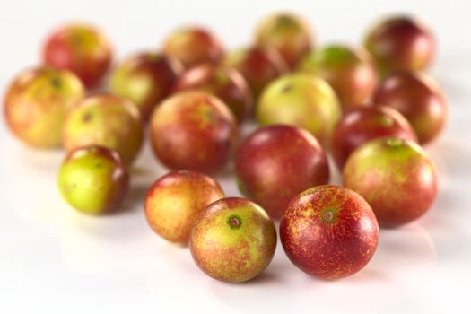 Camu camu berry fruits (lat. Myrciaria dubia) which are grown in the Amazon region and have a very high Vitamin C content (Selective Focus, Focus on the two berries in the front)