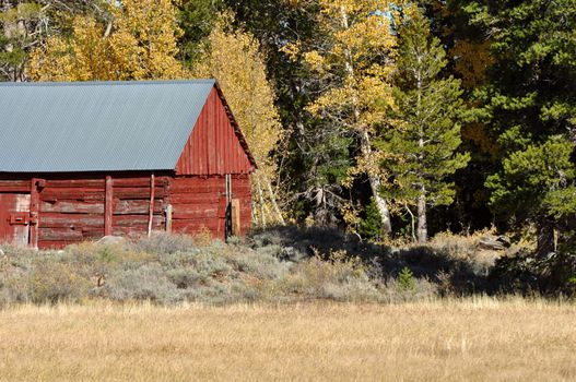 Cabin in Fall with Meadow in foreground