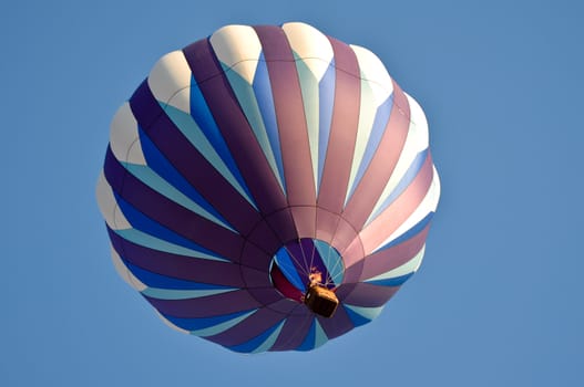 Purple Hot Air Balloon