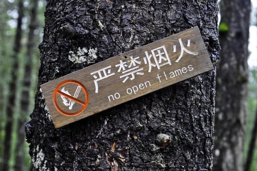 A sign saying no open flames or smoking in English and Chinese hanging on a tree