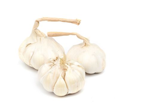garlic isolated on white background