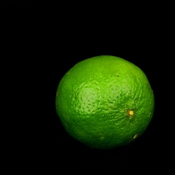 lime isolated close up