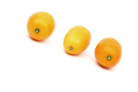 kumquat close up isolated on white