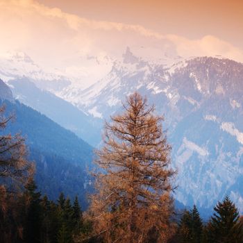 spring alps mountains scene background