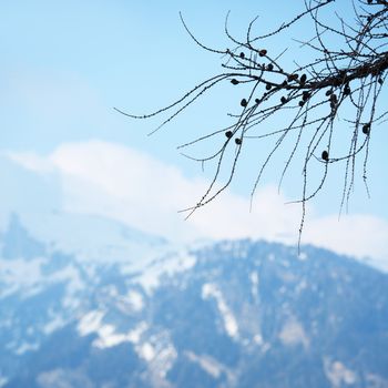 spring alps mountains scene background