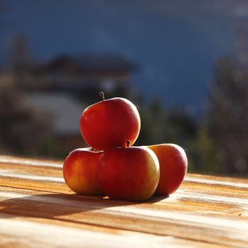 fresh apples in sunrise light