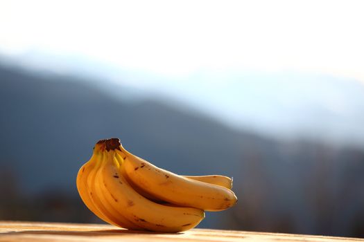 fresh bananas in sunrise light