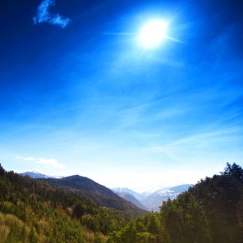 alpen mountain forest sun shine