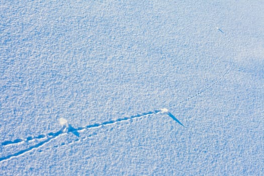 Trajectory lines of ice chunks imprinted on surface of freshly fallen snow.