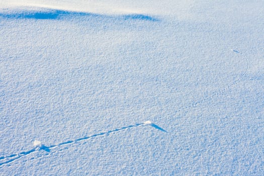 Trajectory lines of ice chunks imprinted on surface of freshly fallen snow.