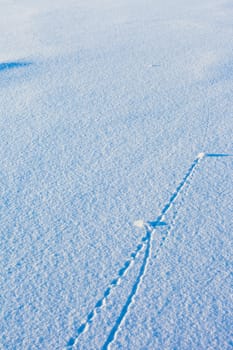 Trajectory lines of ice chunks imprinted on surface of freshly fallen snow.