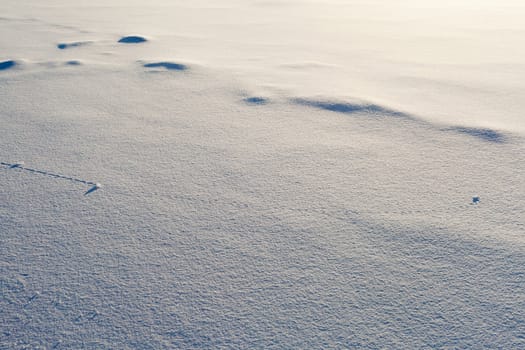 Trajectory lines of ice chunks imprinted on surface of freshly fallen snow.