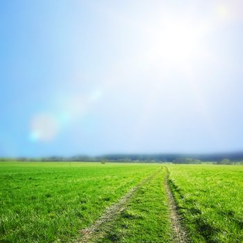 road in green village field