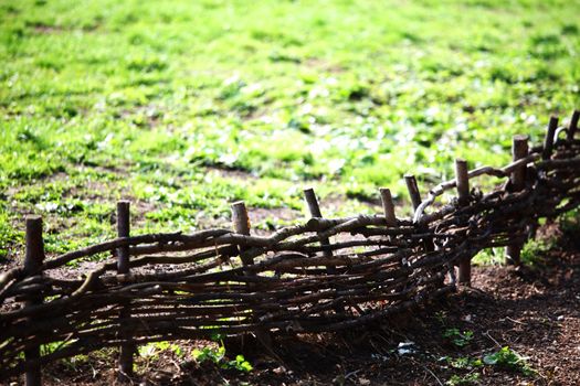 wood fence in hight dof