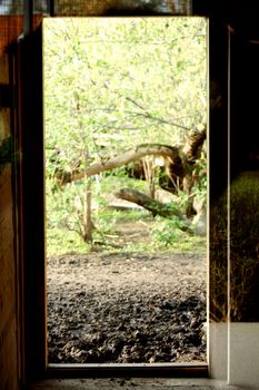 door to green grass field