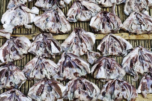 Drying fish heads in a market in asia