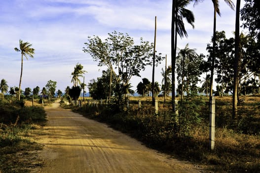 A desolate dirt road in a tropical part of asia