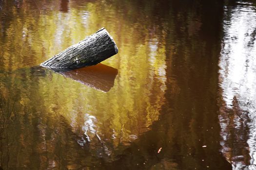  logs in in mud water