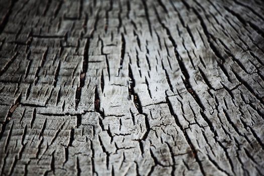 wood background macro close up