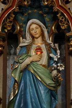 Immaculate Heart of Mary
