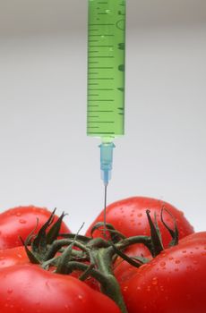 Injection into fresh red tomato