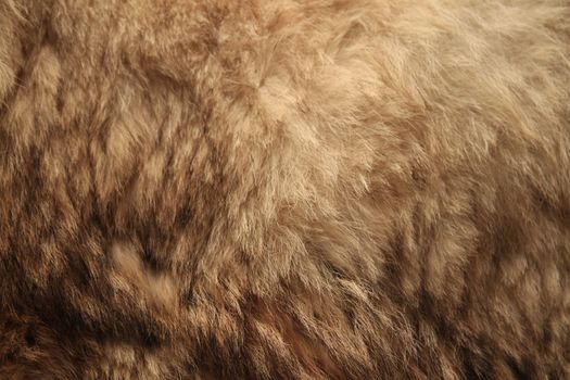 Animal fur seamless texture- many uses for background.