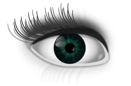 Illustration depicting a single green human eye with white background.