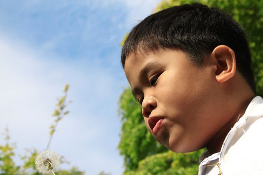 Summer fun - young boy about to blow a dandelion.