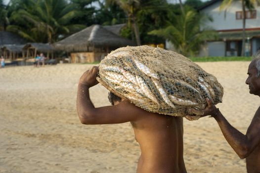 Hikkaduwa, Sri Lanka - February 21, 2011: Two Sri Lankan fishermen carrying  sack with fish to their home. Fishing in Sri Lanka is a tough job but this is the way they earn their living