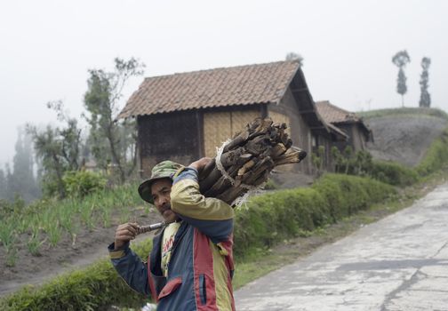 Sukapura, Indonesia - April 24, 2011: Indonesian Man carrying firewood on the way to his home