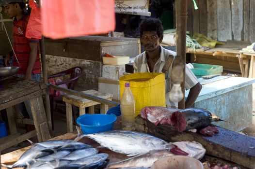 Hikkaduwa, Sri Lanka - January 23, 2011: Seller at a fish market. Fishing in Sri Lanka is a tough job but this is the way they earn their living