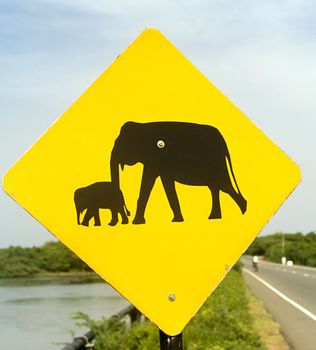 Yellow Elephant wanring sign on the road in Sri Lanka