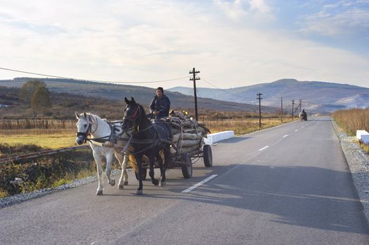 Hateg, Romania - October 25, 2011: Man driving horse cart by the country road. Horse cart on Romanian roads are a kind of landmark.