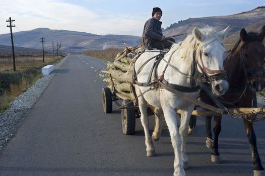 Hateg, Romania - October 25, 2011: Man driving horse cart by the country road. Horse cart on Romanian roads are a kind of landmark.
