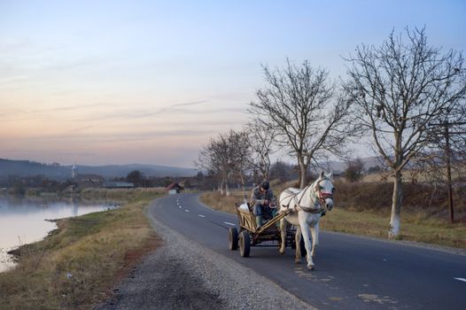 Hateg, Romania - October 25, 2011: Man driving horse cart by the country road. Horse cart on Romanian roads are a kind of landmark.