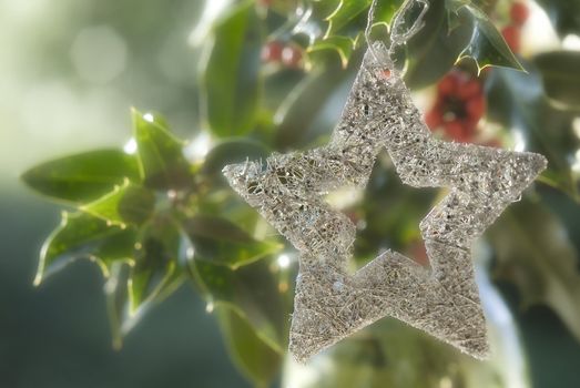Christmas background, silver star hung on a holly with the blurred background