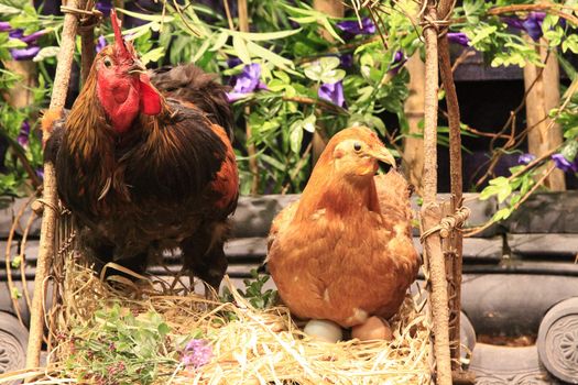 A hen and rooster with layed eggs - display at a resort attraction.