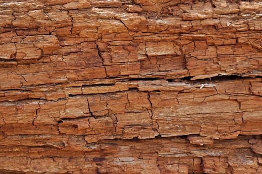 Texture of cracked rotten wood