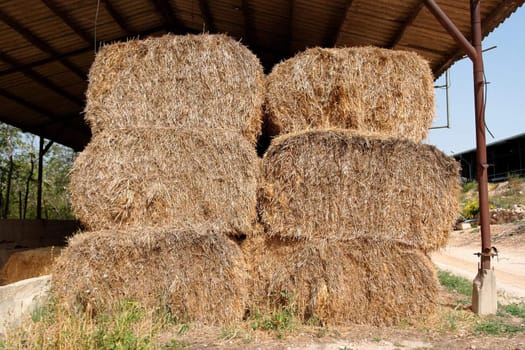 Haystacks at the agricultural farm stored for animal feed