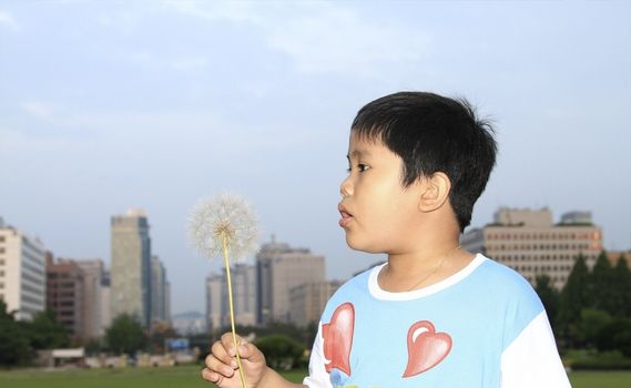 Boy blowing dandelion in a city scape background.
