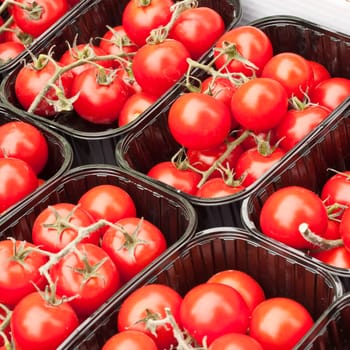 Punnets of cherry tomatoes for sale at a market